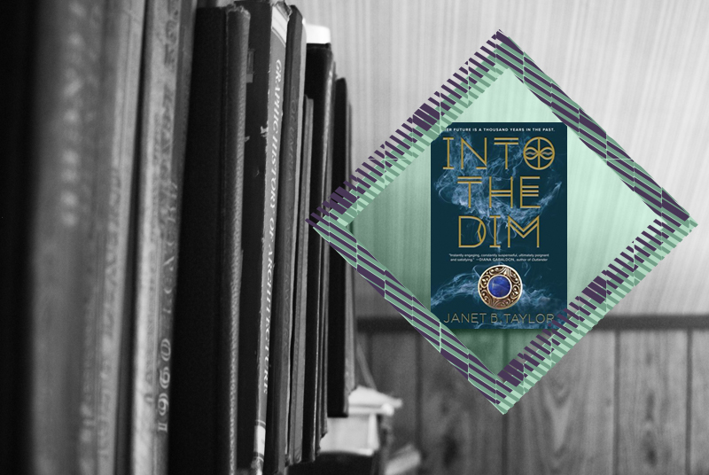 Into the Dim by Janet B. Taylor